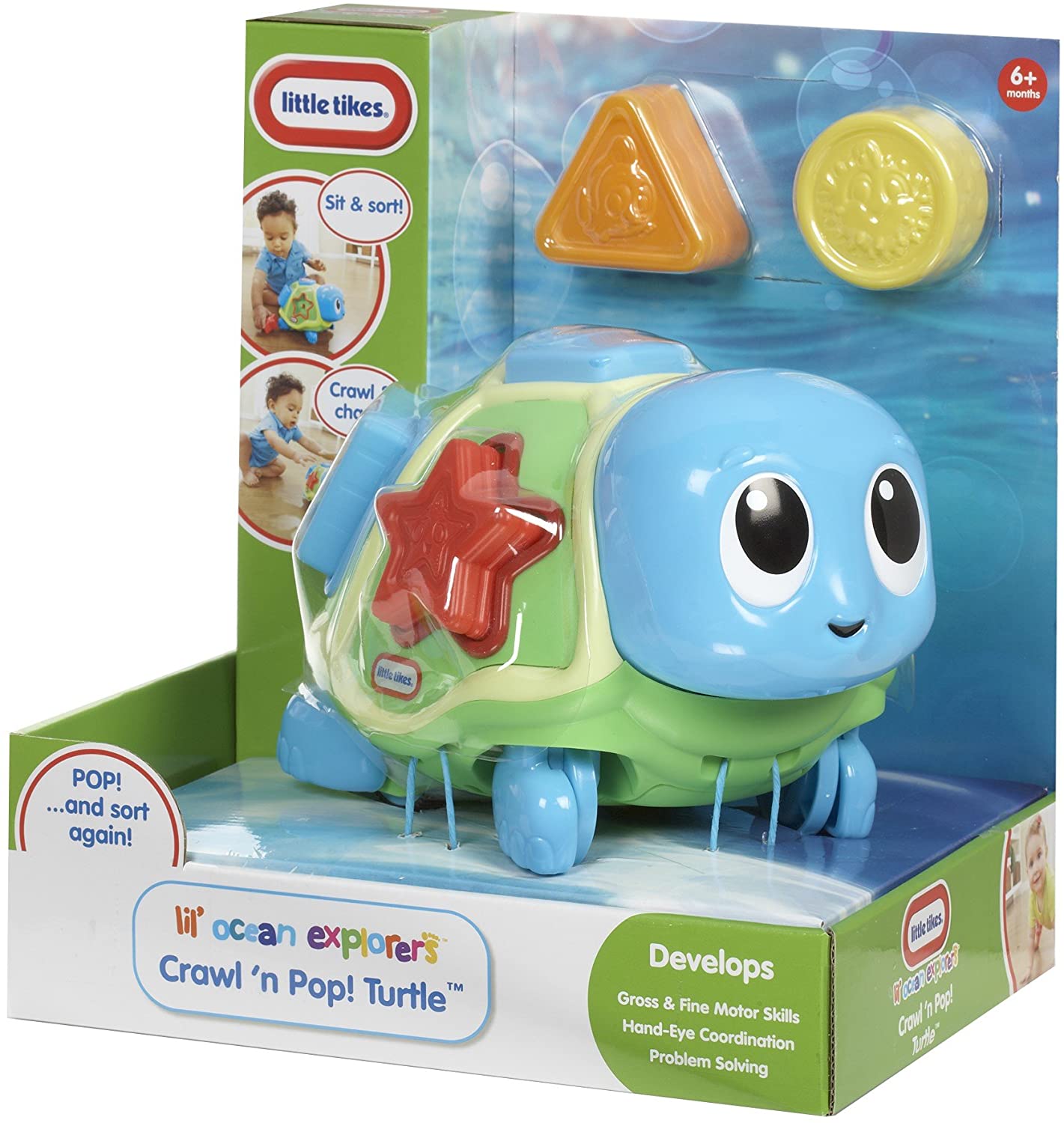 Little Tikes – Lil 'Ocean Explorers – Crawl' n Pop. Turtle (1 Piece) - One Shop Online Toys in Pakistan