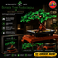 Bonsai Tree Podocarpus Building Blocks Set 878 Pieces – Decorative Botanical Construction Model for Adults | DIY Bonsai Plant Display | Creative Home Décor Building Set 18+