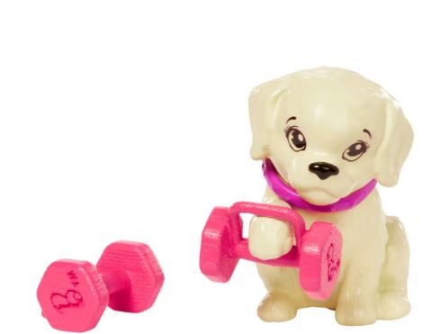 Barbie® Wellness Doll And Accessories
