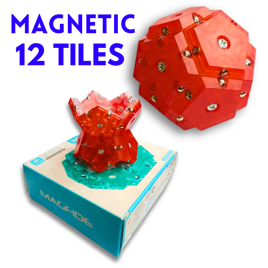 Magnetic Magic: 12-Section Creativity Booster