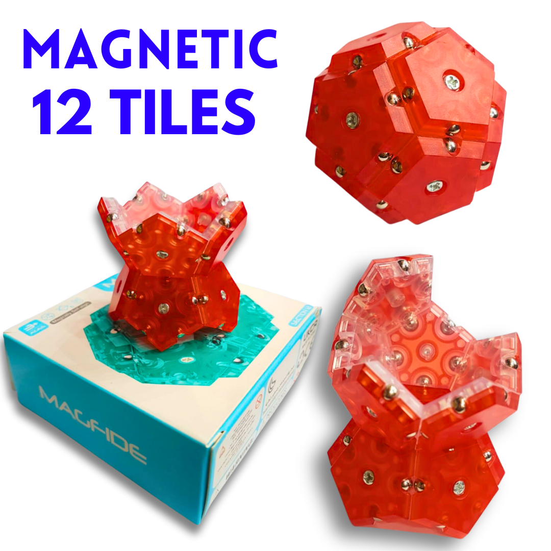 Magnetic Magic: 12-Section Creativity Booster