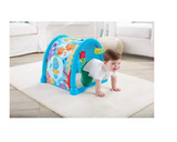 Fisher-Price Kick And Crawl Musical Seahorse Gym