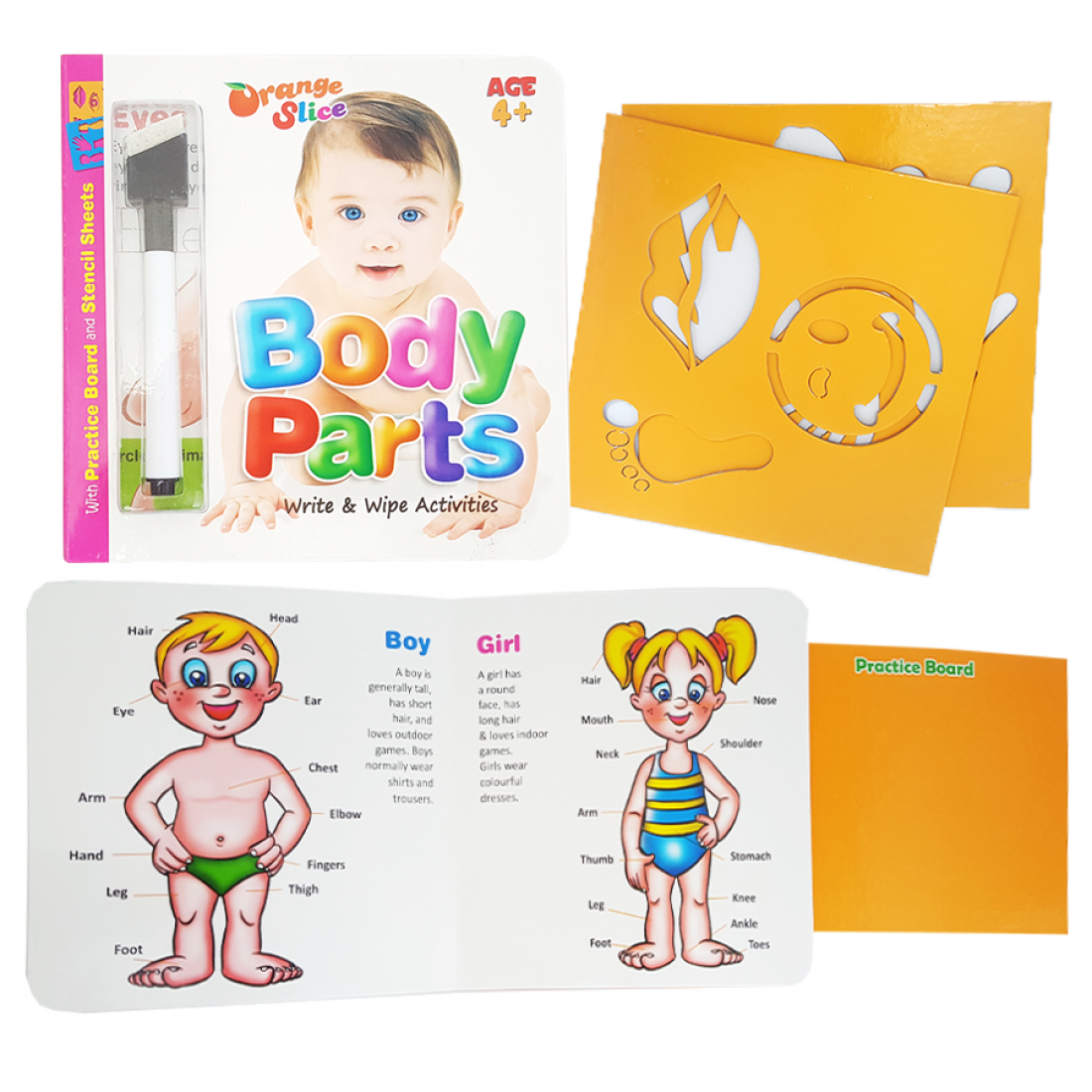 Write & Wipe Books  with practice board - Orange Slice - 