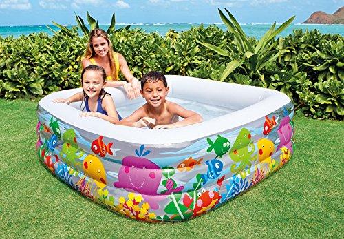 INTEX Swim Center Clear View Aquarium Pool ( 62.5" L x 62.5" W X 19.5" H ) - One Shop Online Toys in Pakistan