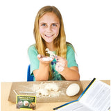 NATIONAL GEOGRAPHIC DINO EGG DIG KIT
