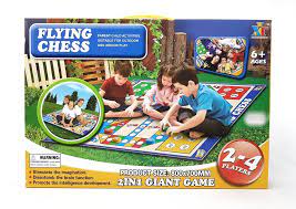 Flying Chess 2 in 1-JT838