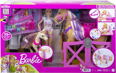 Barbie Groom n' Care Horse and Doll Figure Toy Playset