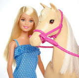 Barbie Doll & Horse Playset, Blonde Hair with Riding Accessories FXH13 GIFT NEW